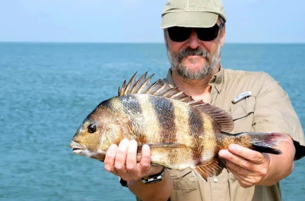 Sheepshead Fishing Nags Head - Outer Banks Fishing Charter